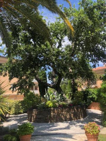 Belle Residence Au Centre De Saint Tropez Avec Piscine Et Garage Zewnętrze zdjęcie